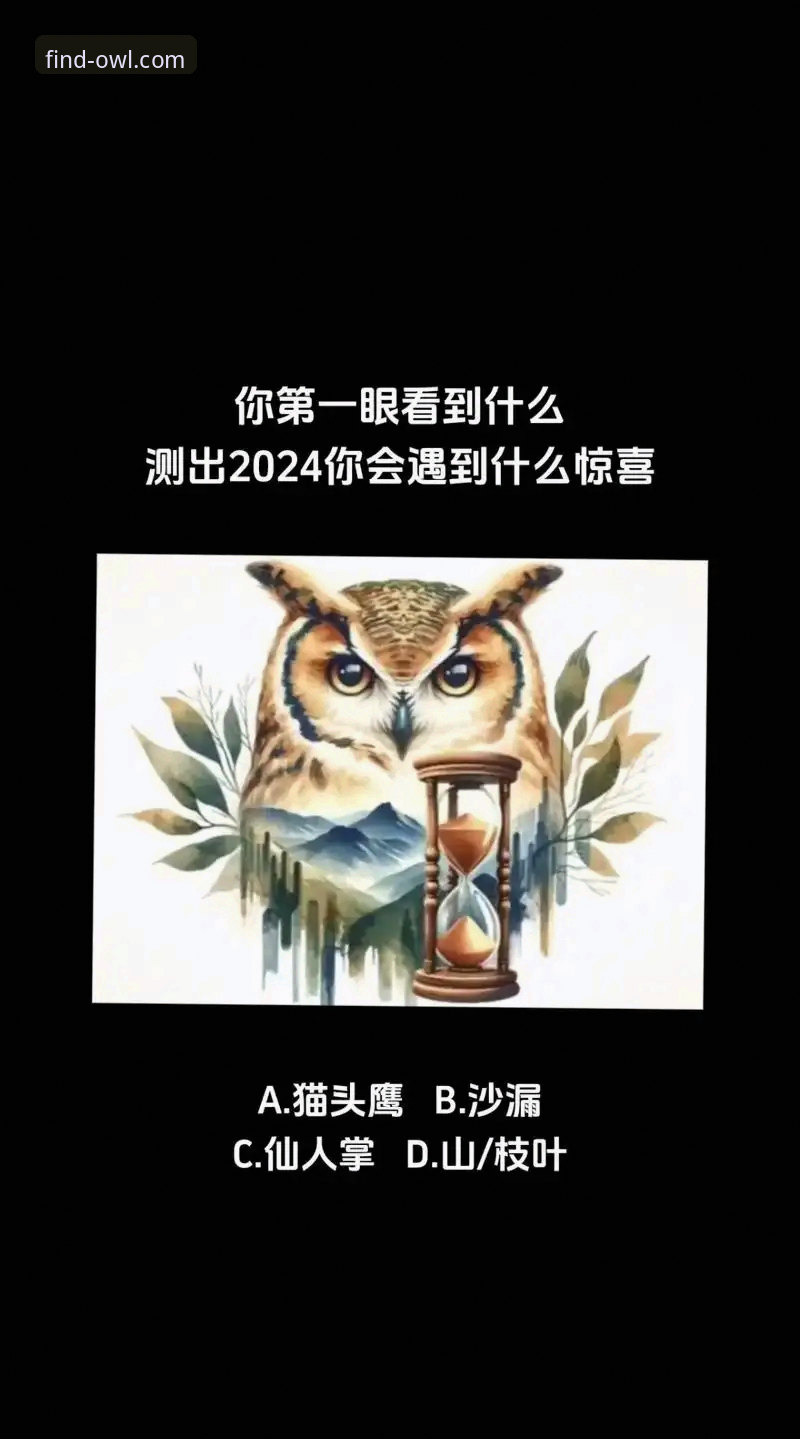 猫头鹰体育2024版教程 5个关键步骤,快速掌握猫头鹰体育2024版教程