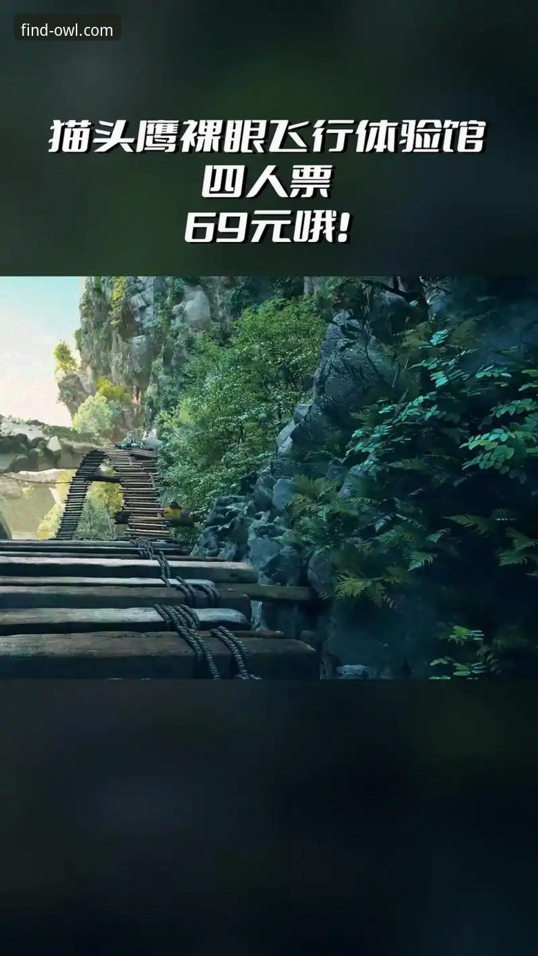 猫头鹰体育官方IOS版 猫头鹰体育平台iOS版深度分析:官方渠道与性能全面解读